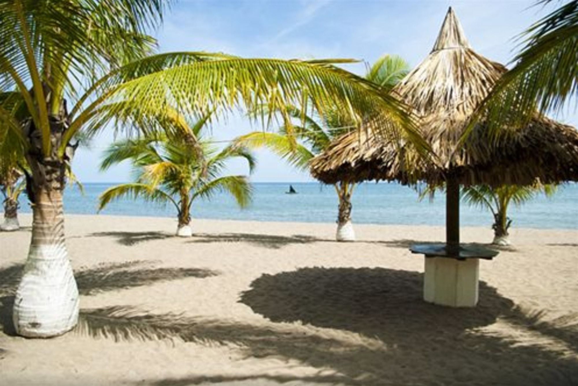 Hotel Quinta Real La Ceiba Ngoại thất bức ảnh