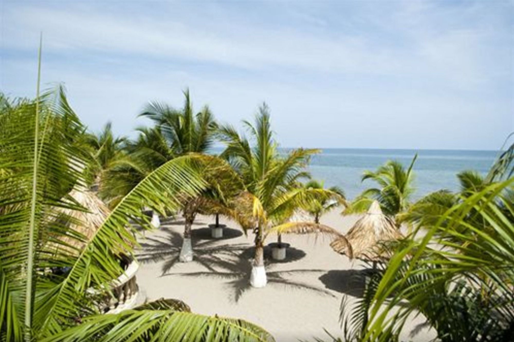 Hotel Quinta Real La Ceiba Ngoại thất bức ảnh
